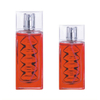 square Custom made empty man perfume glass bottle wholesale