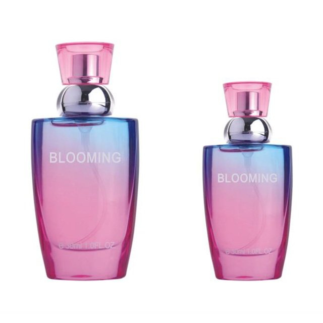 Custom Made Fashionable Clear Glass Perfume Bottle with pump sprayer